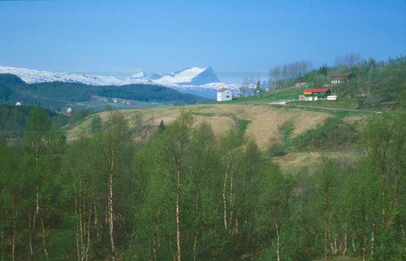 Bild185.jpg