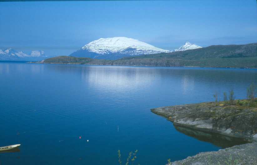 Bild186.jpg