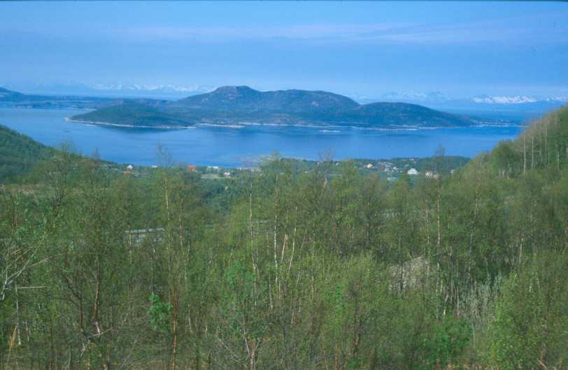 Bild192.jpg